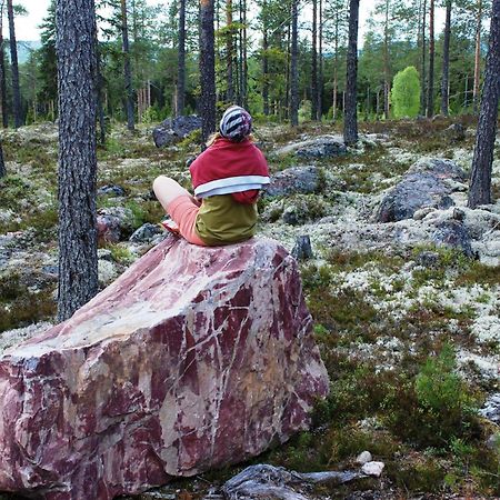 14 - Fulufjellets Nasjonalparker - Natur-, Dyre- Og Fugleopplevelser Trysil Dış mekan fotoğraf