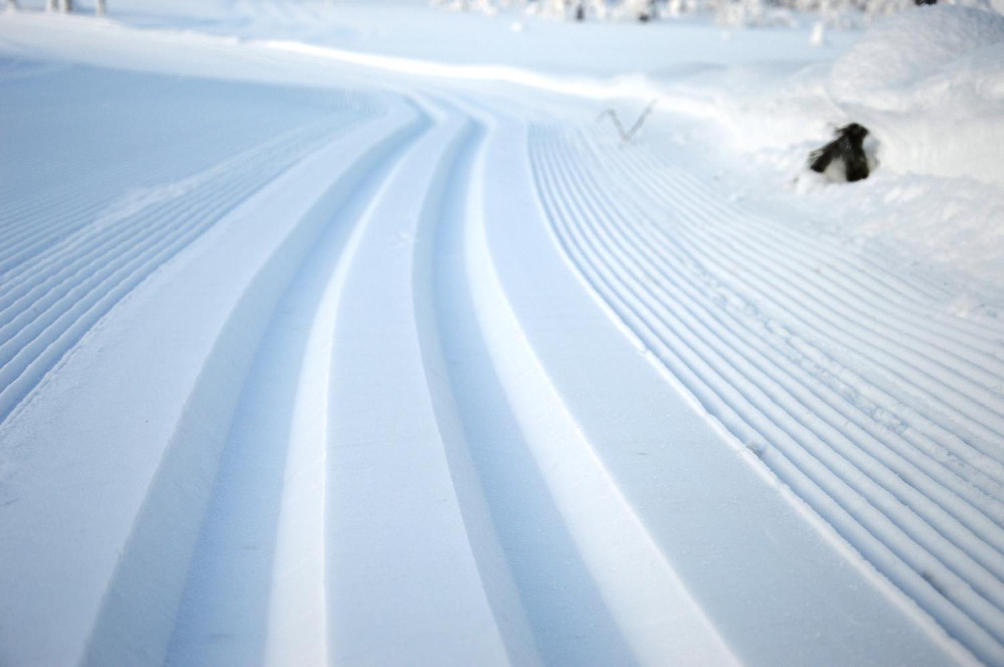 14 - Fulufjellets Nasjonalparker - Natur-, Dyre- Og Fugleopplevelser Trysil Dış mekan fotoğraf