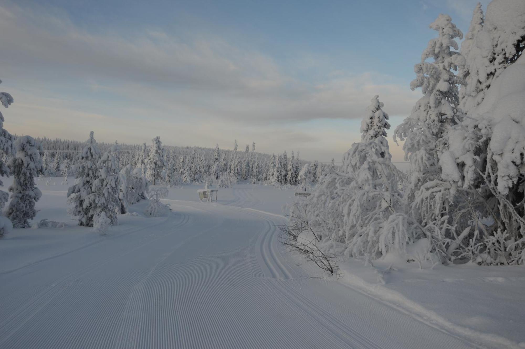 14 - Fulufjellets Nasjonalparker - Natur-, Dyre- Og Fugleopplevelser Trysil Dış mekan fotoğraf