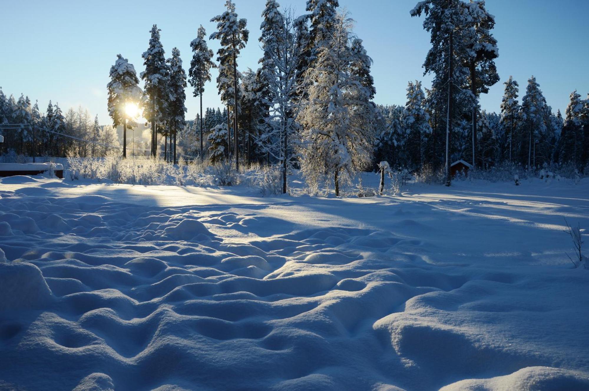 14 - Fulufjellets Nasjonalparker - Natur-, Dyre- Og Fugleopplevelser Trysil Dış mekan fotoğraf