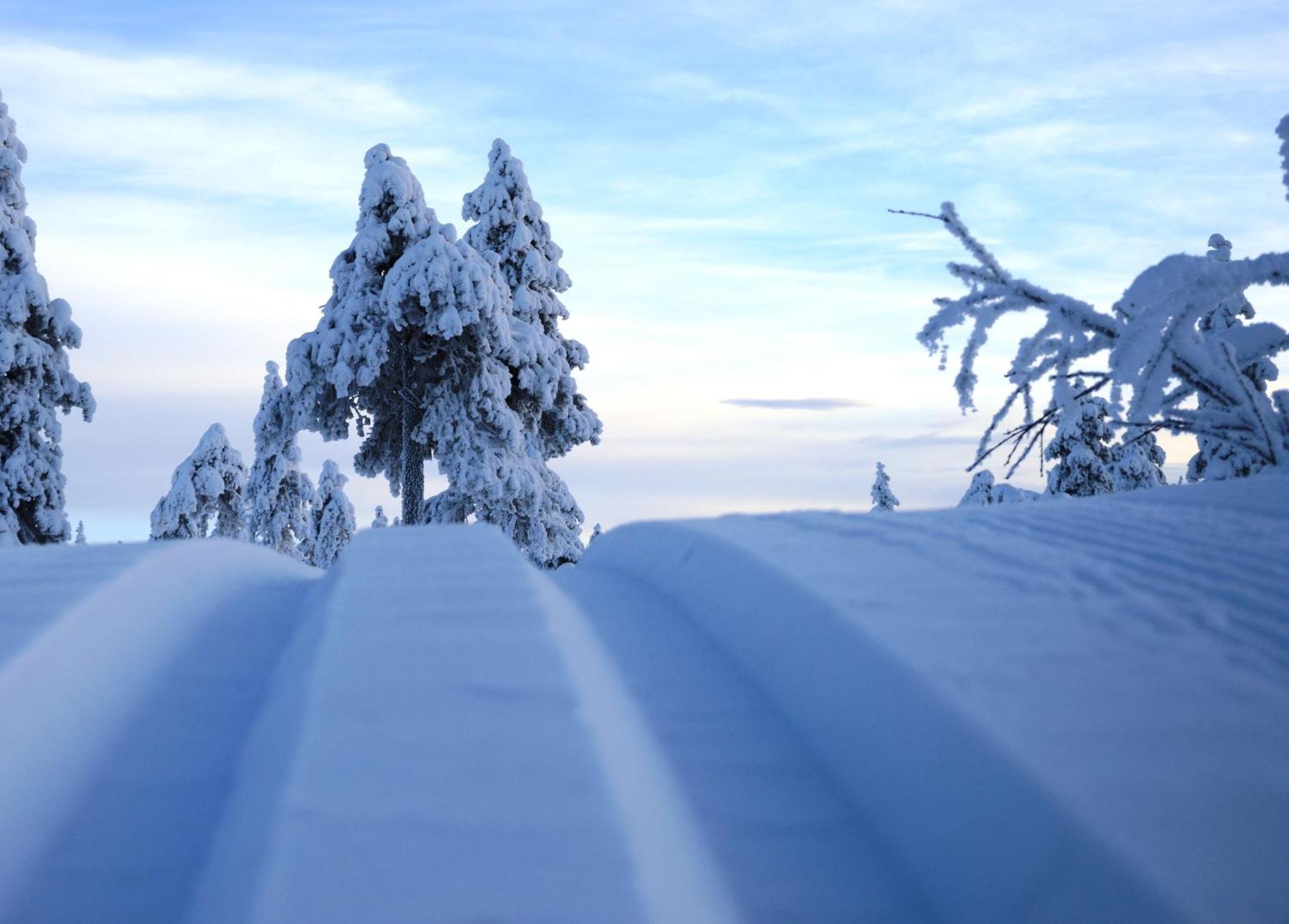 14 - Fulufjellets Nasjonalparker - Natur-, Dyre- Og Fugleopplevelser Trysil Dış mekan fotoğraf