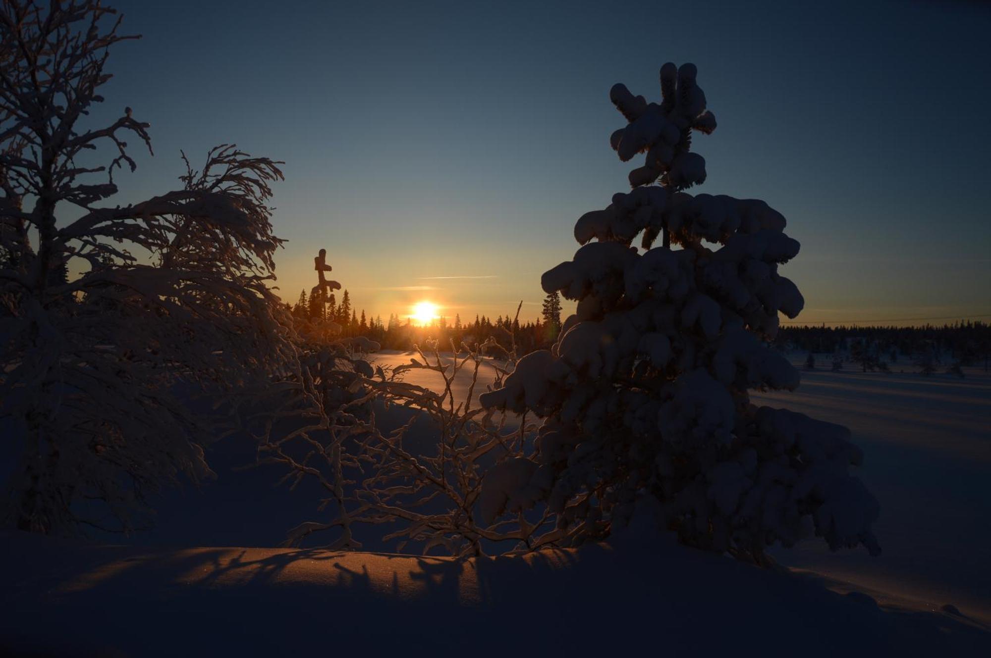 14 - Fulufjellets Nasjonalparker - Natur-, Dyre- Og Fugleopplevelser Trysil Dış mekan fotoğraf