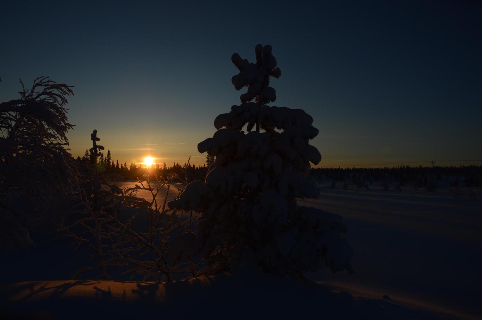 14 - Fulufjellets Nasjonalparker - Natur-, Dyre- Og Fugleopplevelser Trysil Dış mekan fotoğraf