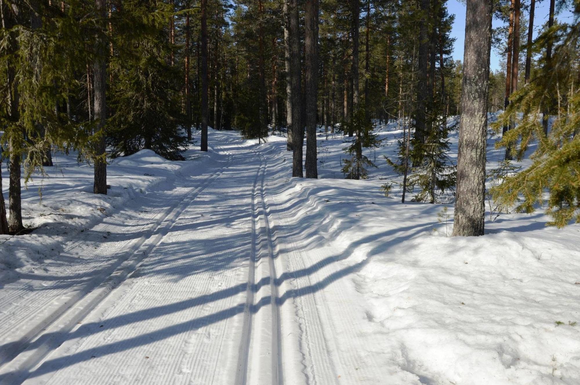 14 - Fulufjellets Nasjonalparker - Natur-, Dyre- Og Fugleopplevelser Trysil Dış mekan fotoğraf
