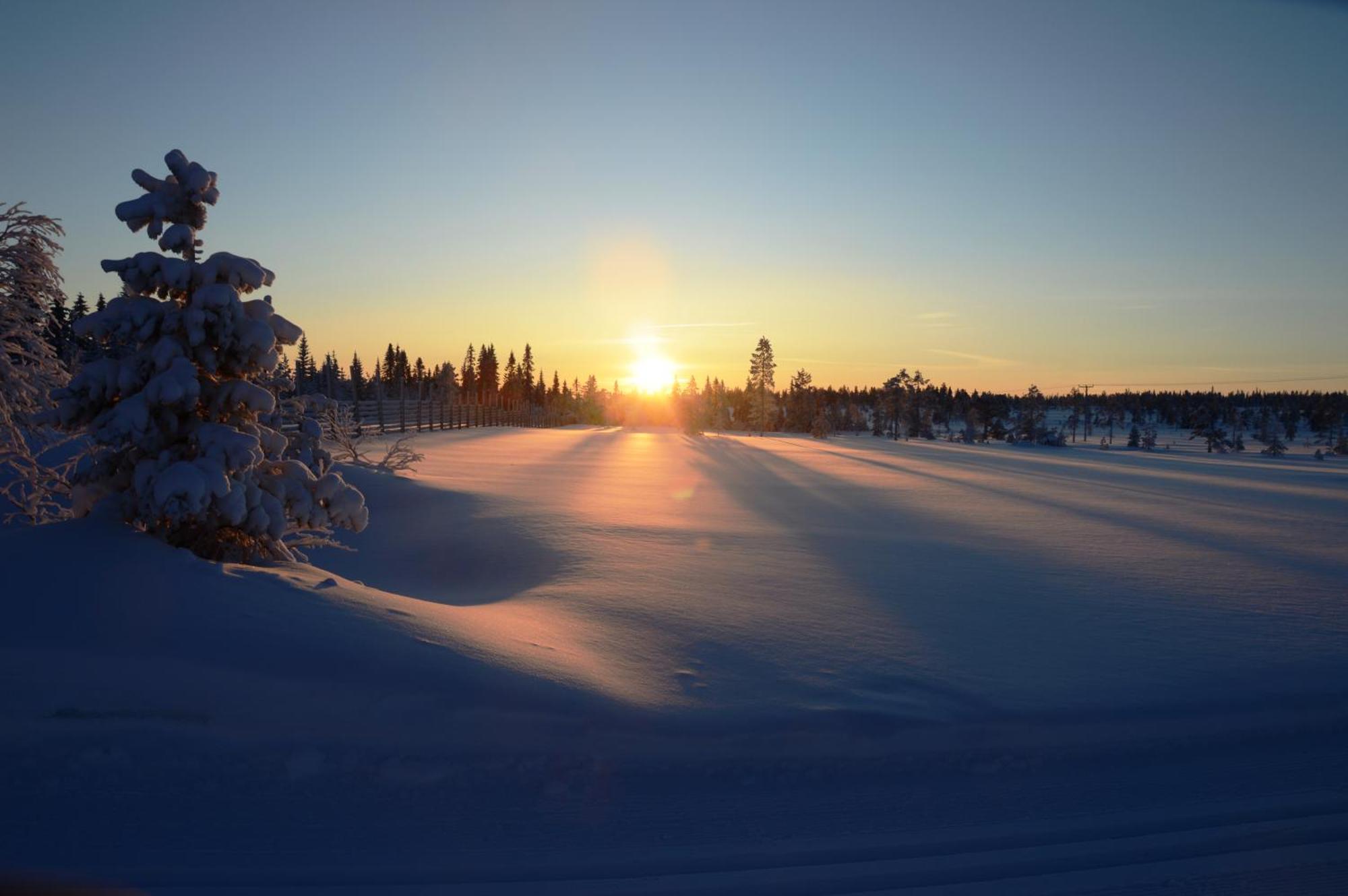 14 - Fulufjellets Nasjonalparker - Natur-, Dyre- Og Fugleopplevelser Trysil Dış mekan fotoğraf
