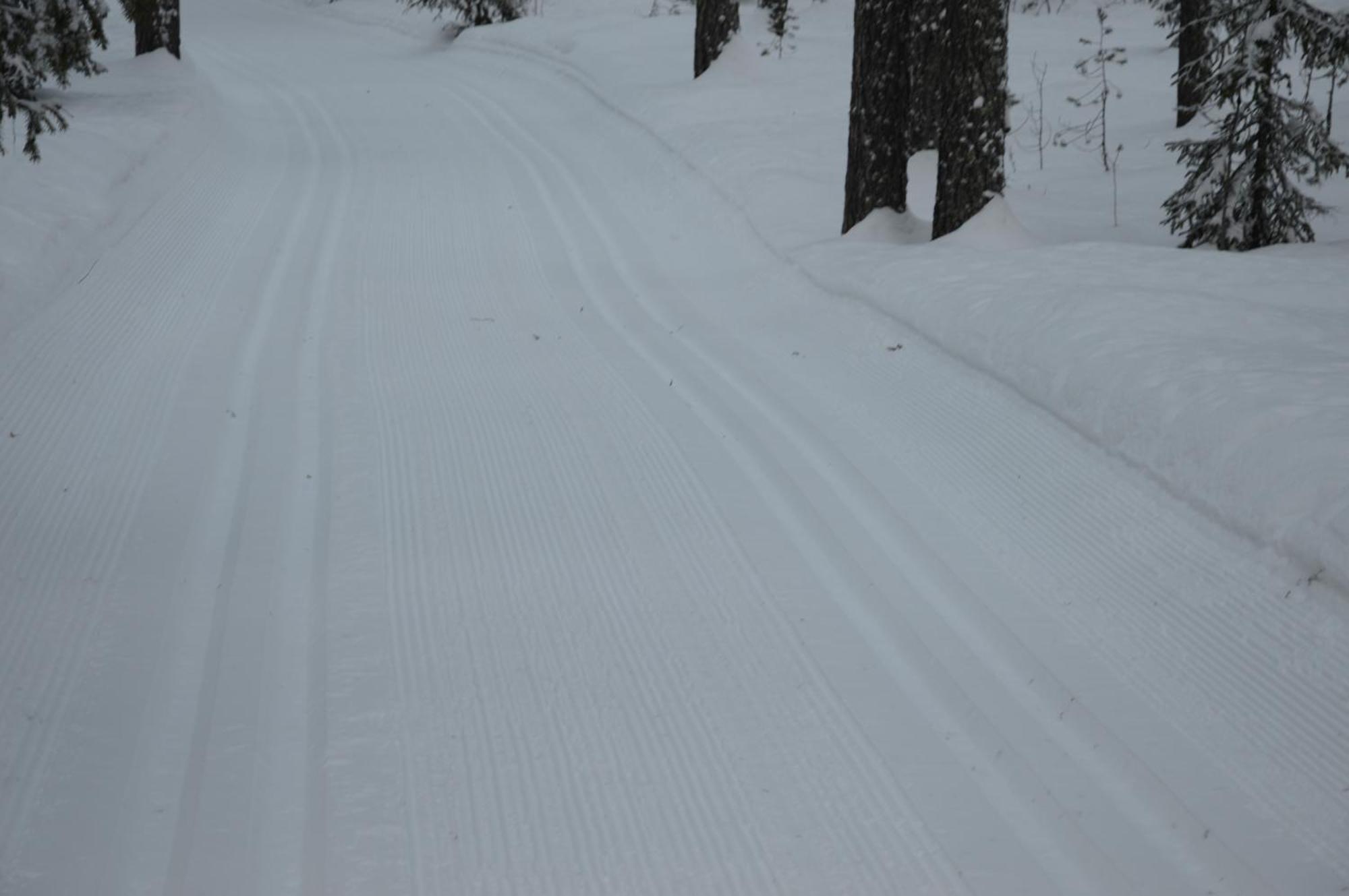 14 - Fulufjellets Nasjonalparker - Natur-, Dyre- Og Fugleopplevelser Trysil Dış mekan fotoğraf
