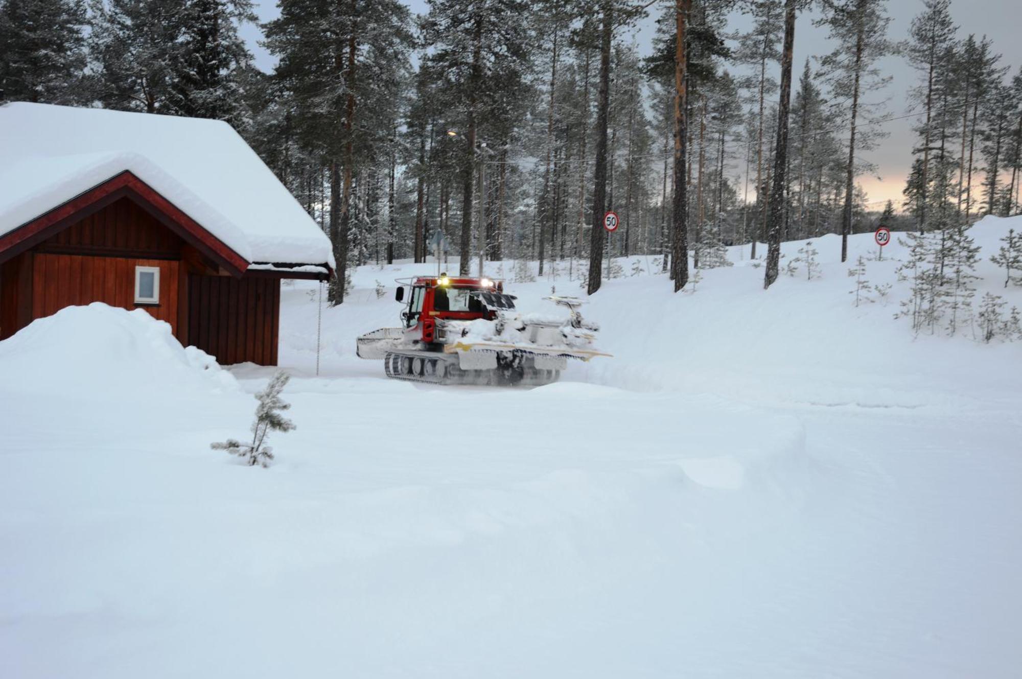14 - Fulufjellets Nasjonalparker - Natur-, Dyre- Og Fugleopplevelser Trysil Dış mekan fotoğraf