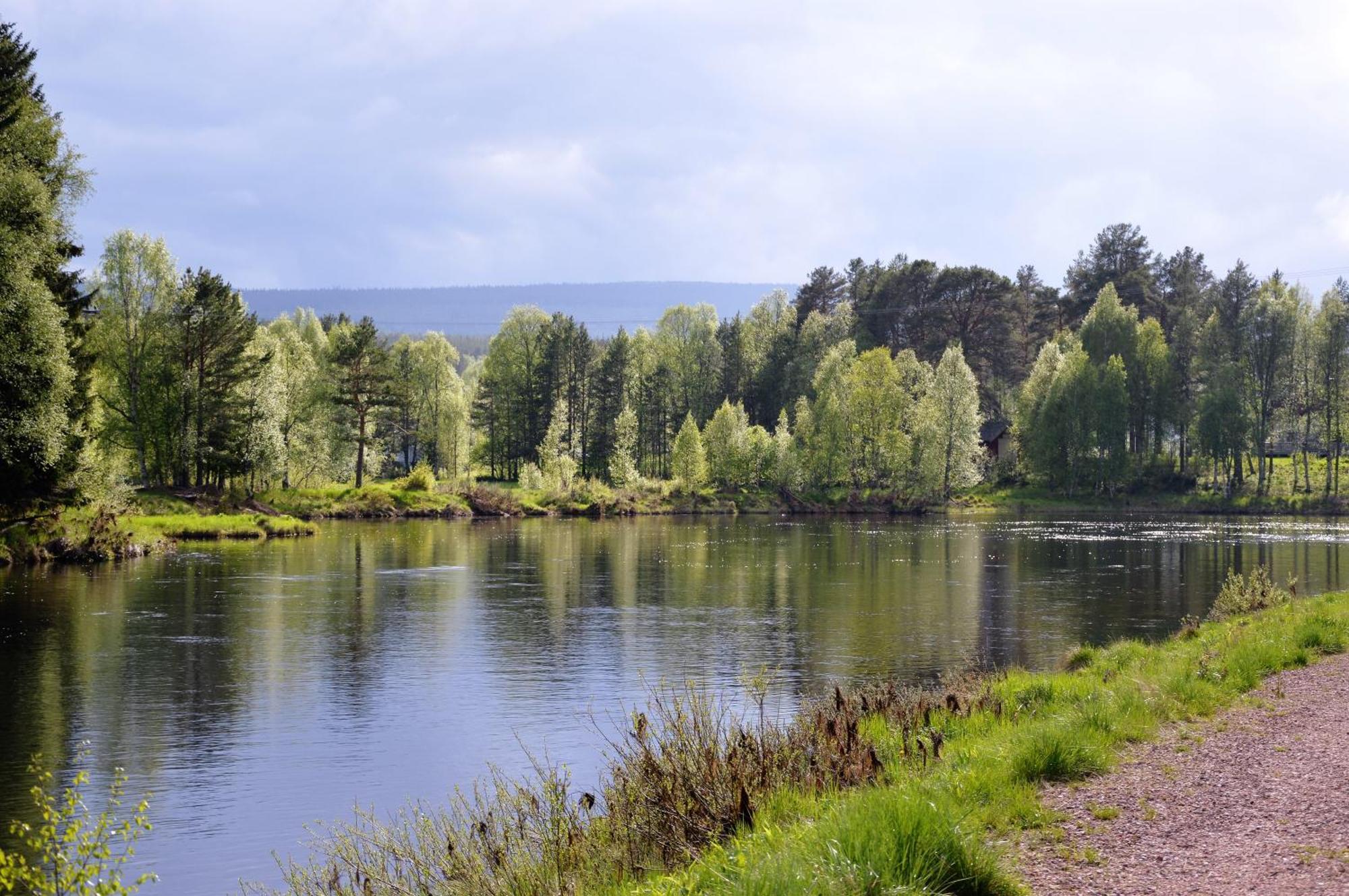 14 - Fulufjellets Nasjonalparker - Natur-, Dyre- Og Fugleopplevelser Trysil Dış mekan fotoğraf