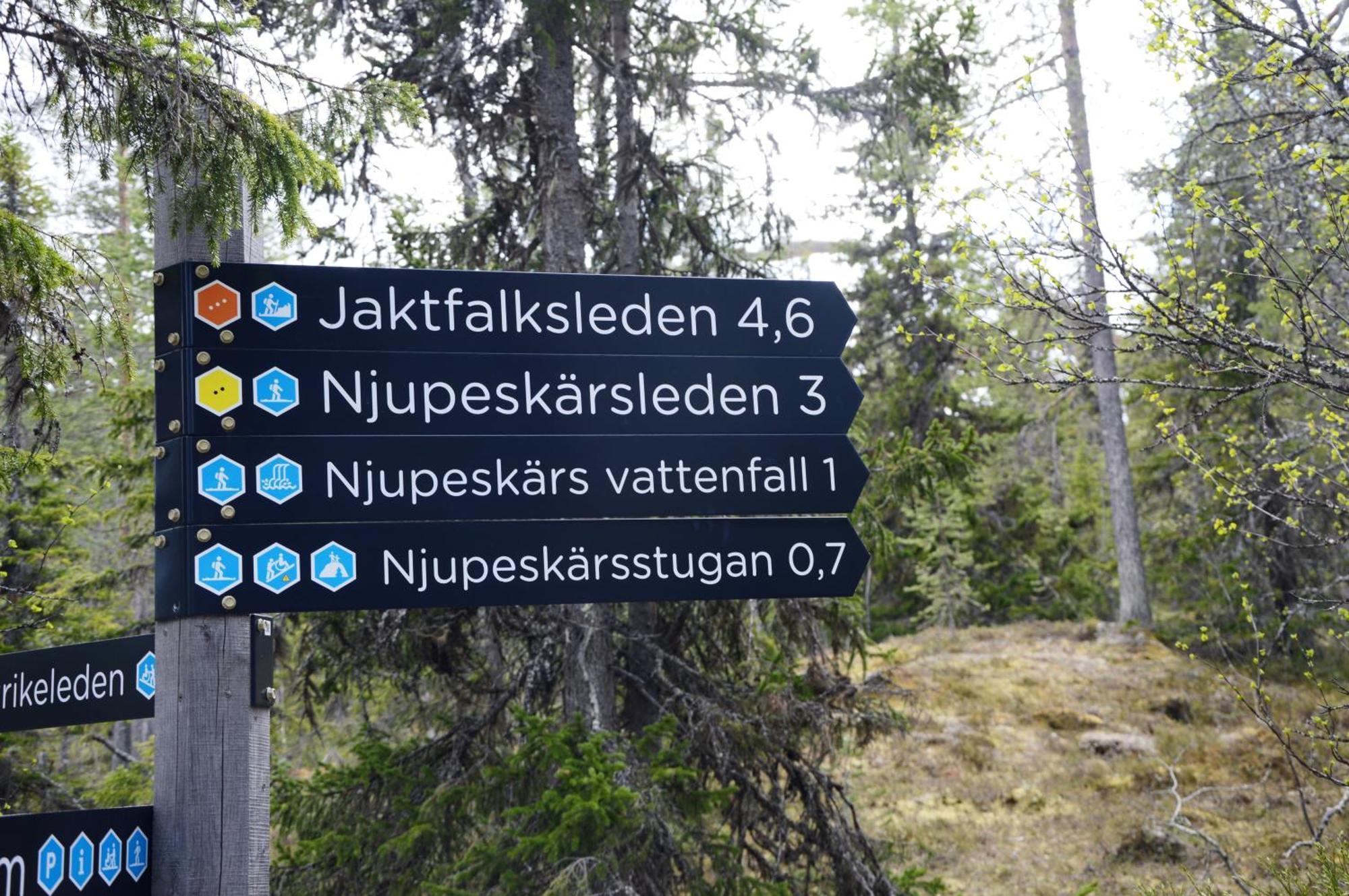 14 - Fulufjellets Nasjonalparker - Natur-, Dyre- Og Fugleopplevelser Trysil Dış mekan fotoğraf