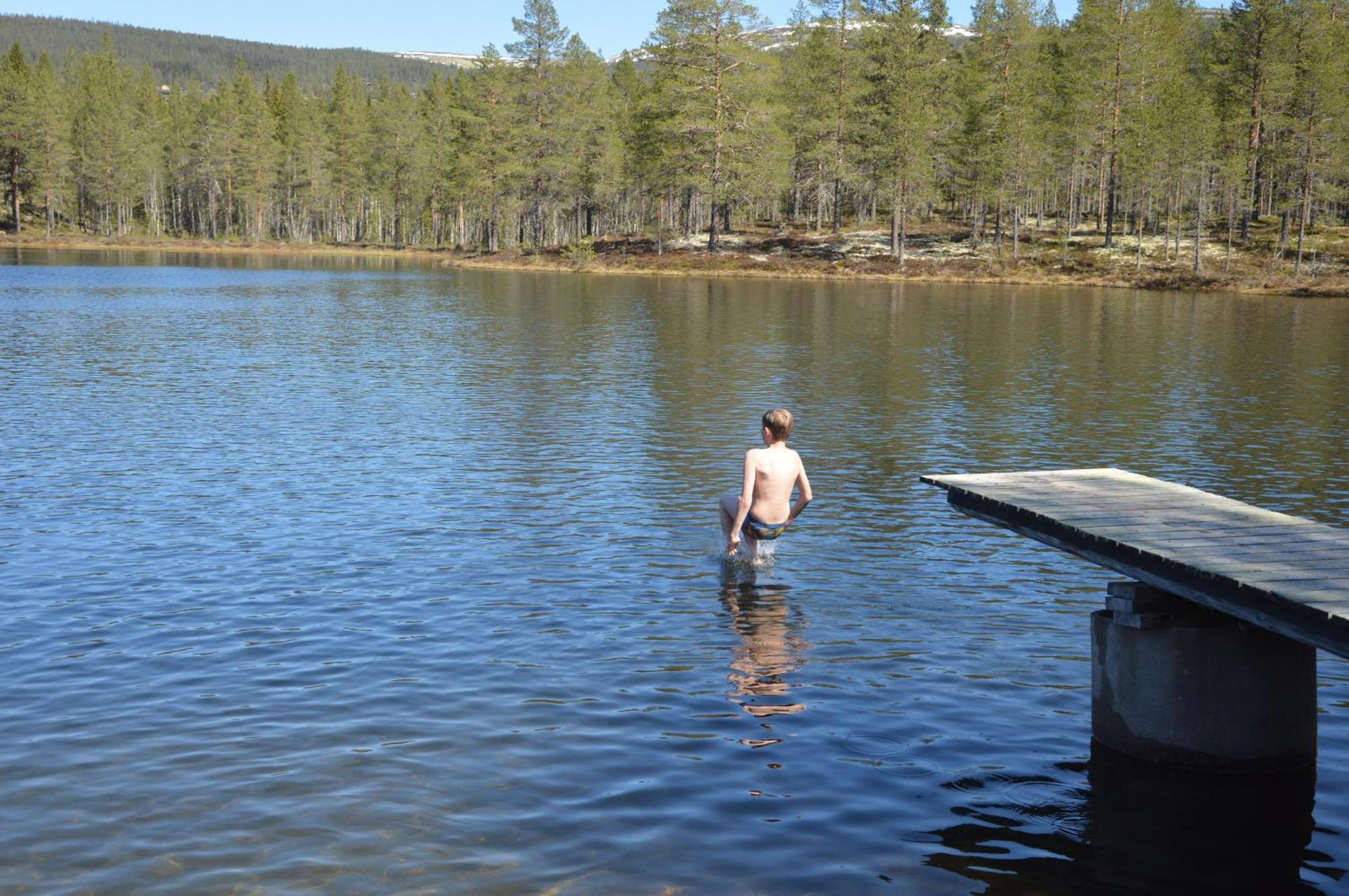 14 - Fulufjellets Nasjonalparker - Natur-, Dyre- Og Fugleopplevelser Trysil Dış mekan fotoğraf