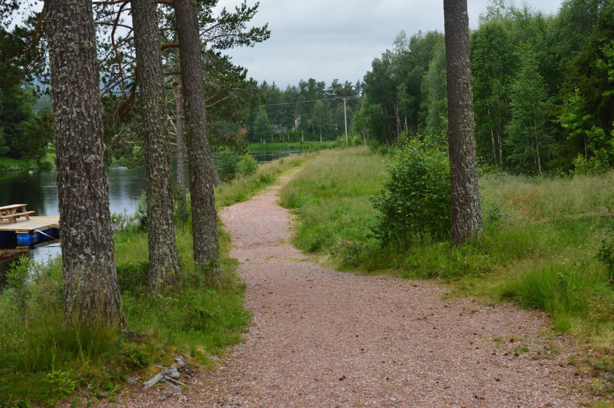 14 - Fulufjellets Nasjonalparker - Natur-, Dyre- Og Fugleopplevelser Trysil Dış mekan fotoğraf