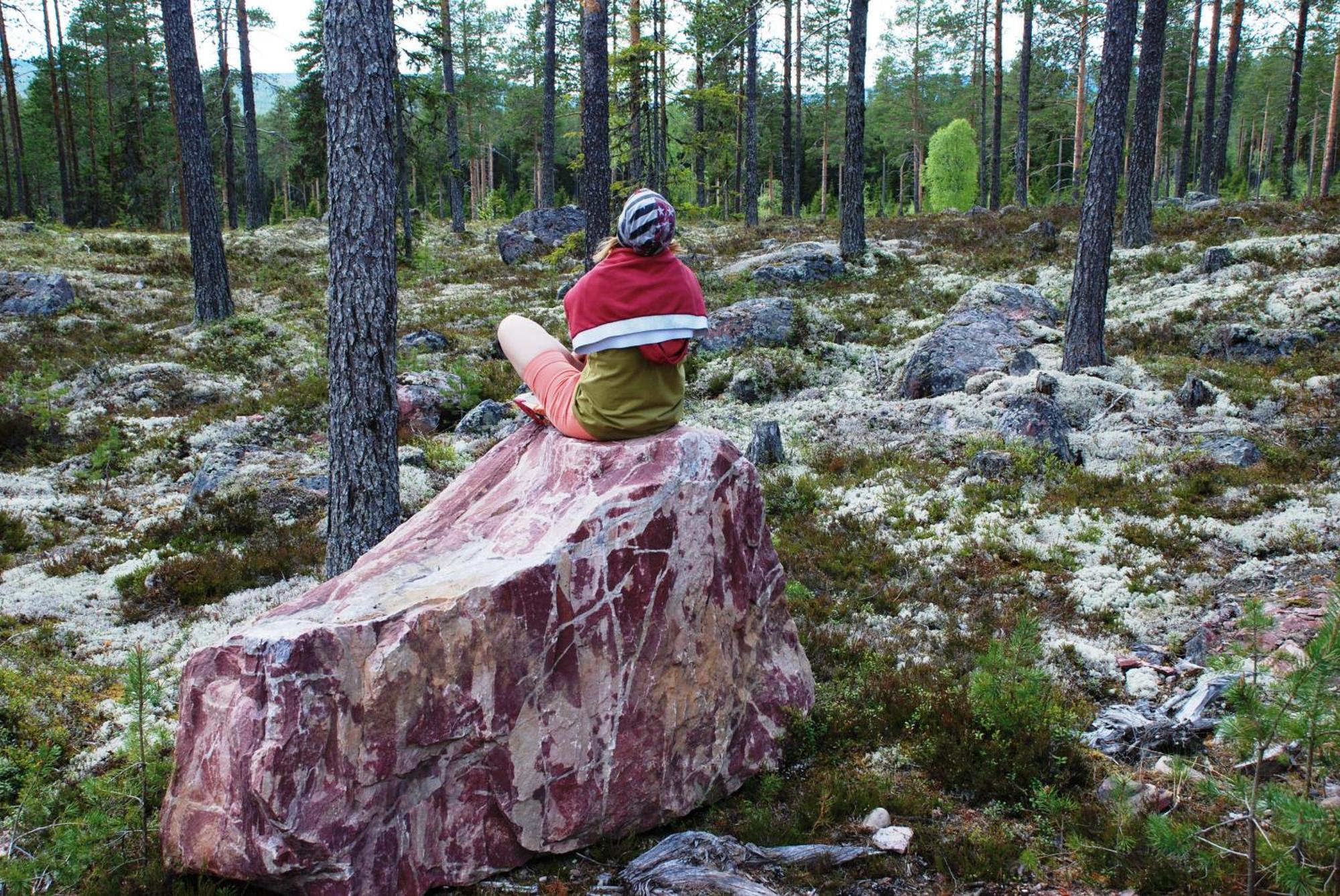 14 - Fulufjellets Nasjonalparker - Natur-, Dyre- Og Fugleopplevelser Trysil Dış mekan fotoğraf