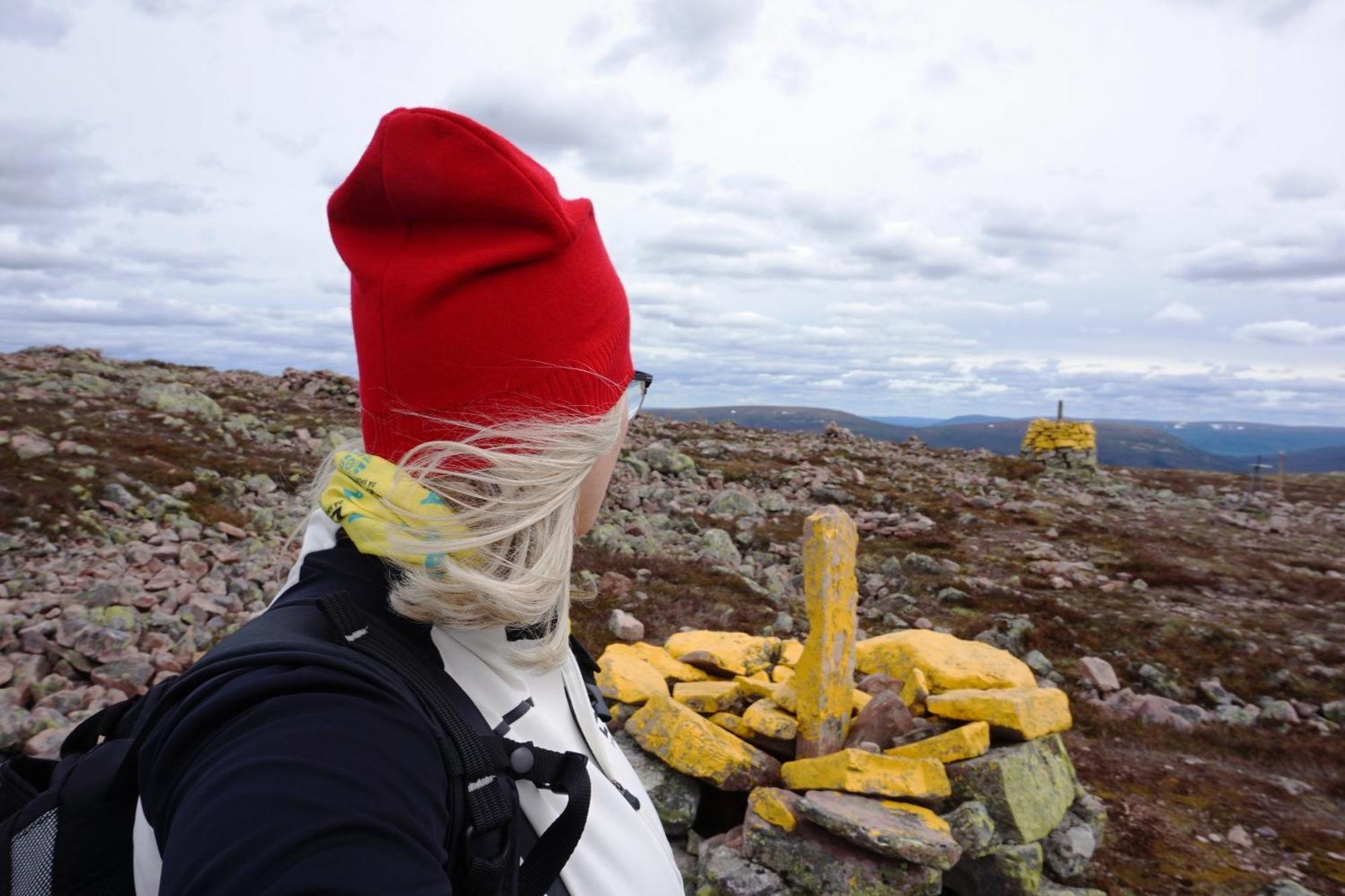 14 - Fulufjellets Nasjonalparker - Natur-, Dyre- Og Fugleopplevelser Trysil Dış mekan fotoğraf