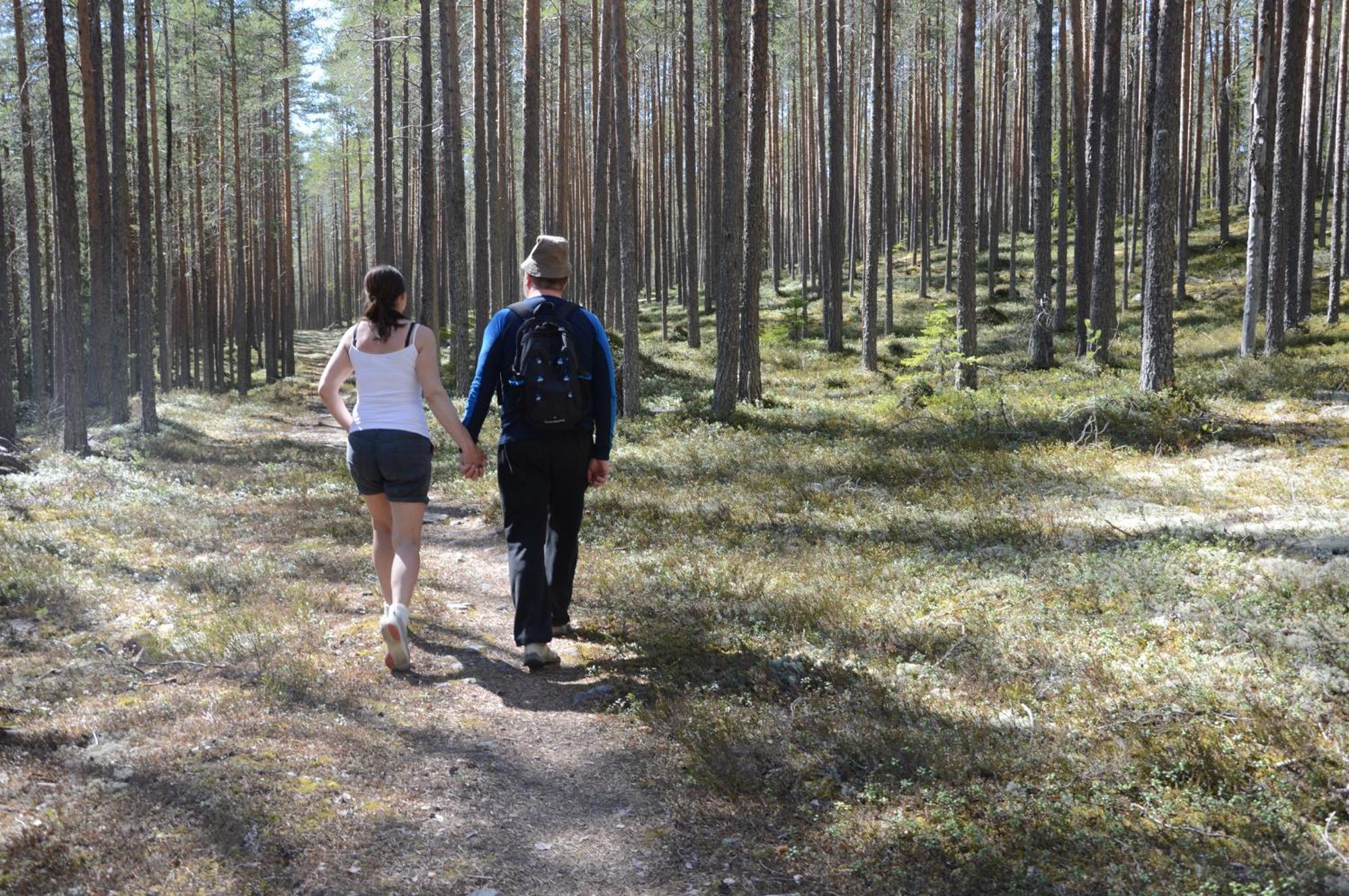 14 - Fulufjellets Nasjonalparker - Natur-, Dyre- Og Fugleopplevelser Trysil Dış mekan fotoğraf