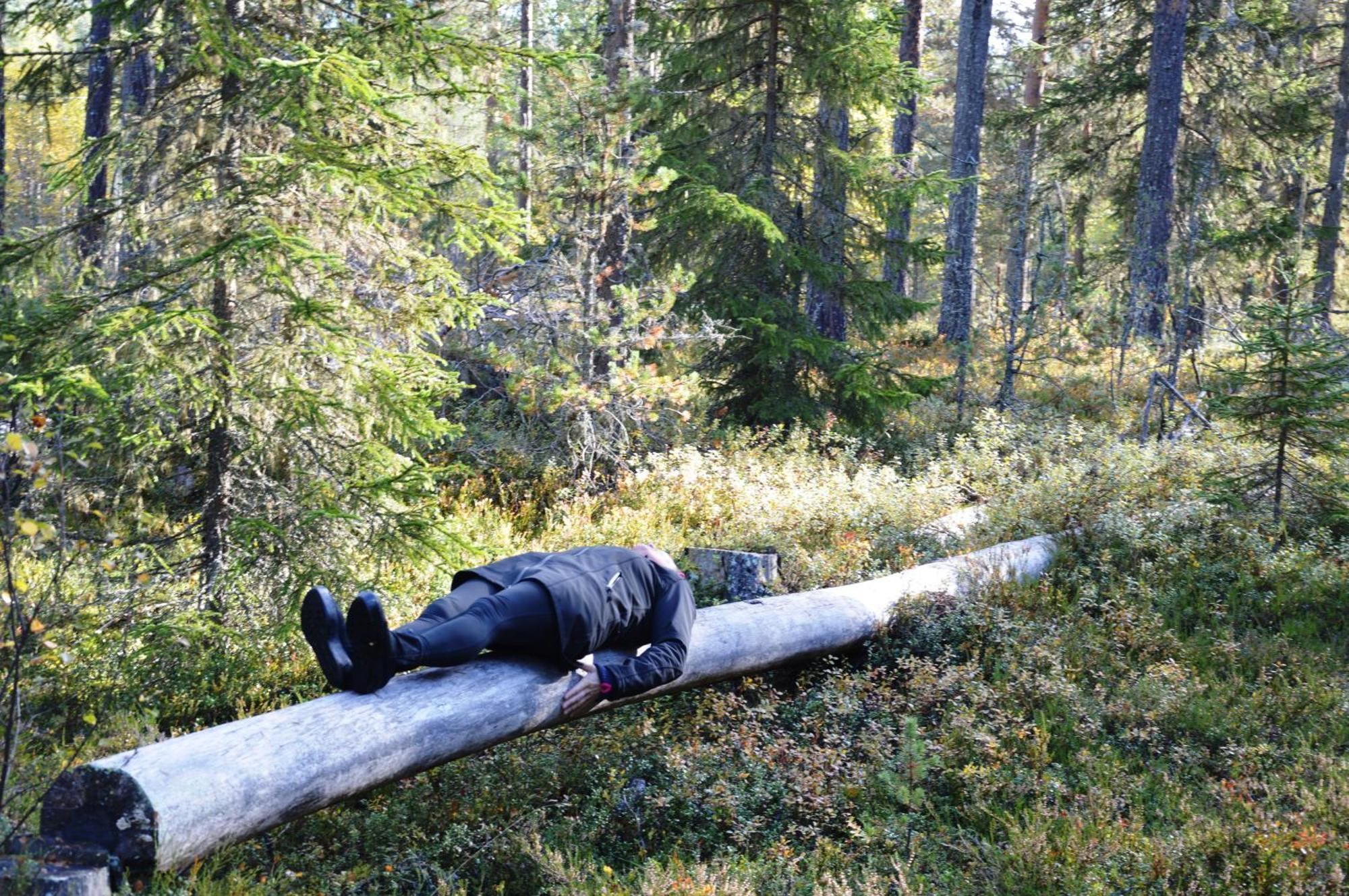 14 - Fulufjellets Nasjonalparker - Natur-, Dyre- Og Fugleopplevelser Trysil Dış mekan fotoğraf