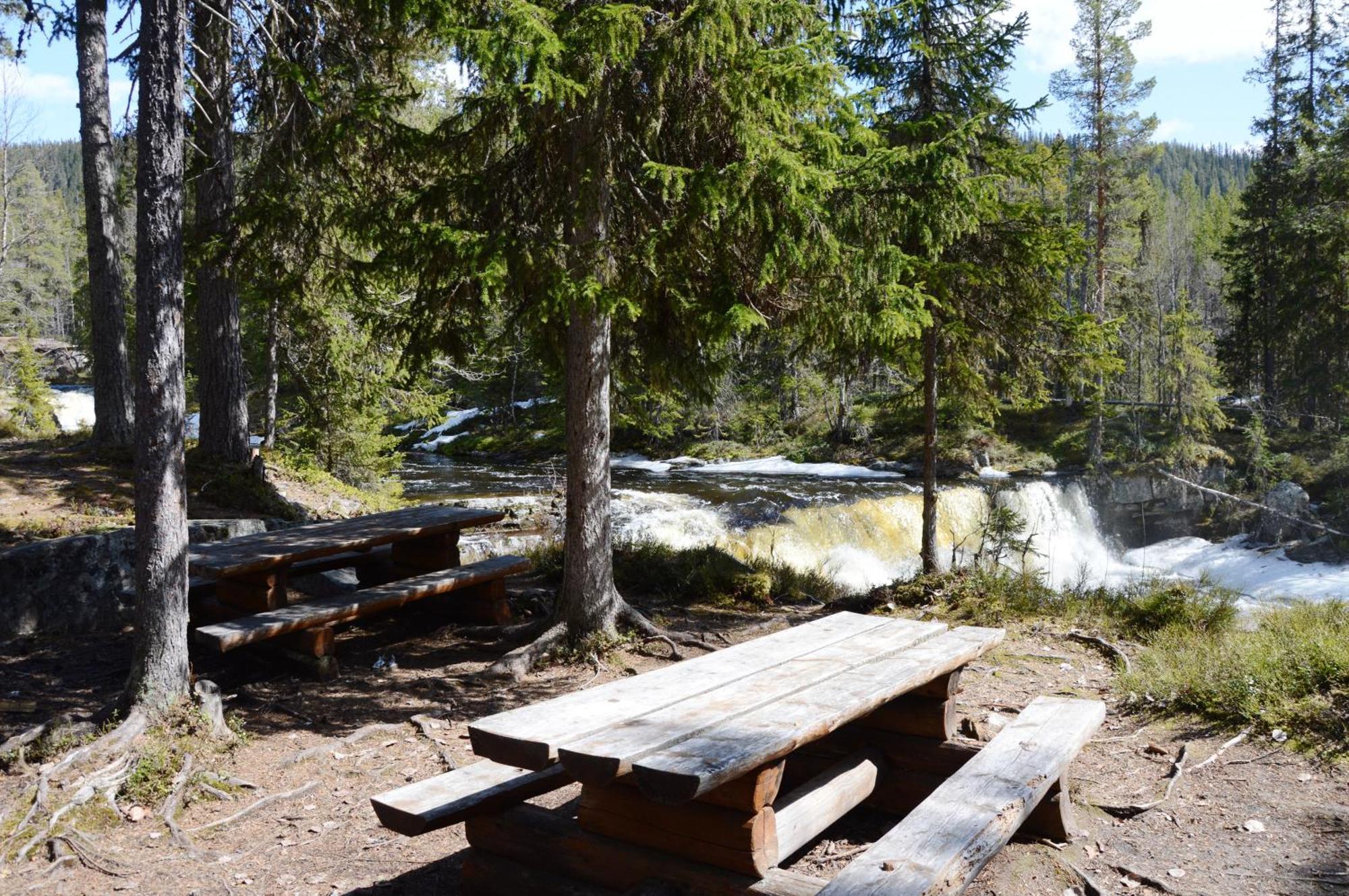 14 - Fulufjellets Nasjonalparker - Natur-, Dyre- Og Fugleopplevelser Trysil Dış mekan fotoğraf