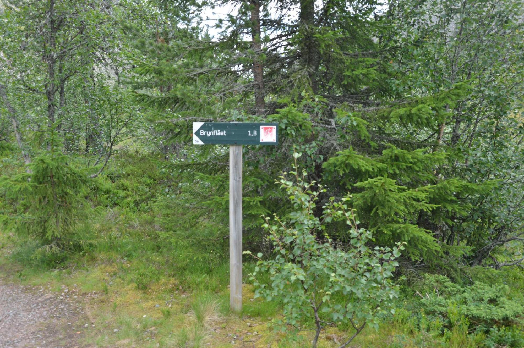 14 - Fulufjellets Nasjonalparker - Natur-, Dyre- Og Fugleopplevelser Trysil Dış mekan fotoğraf