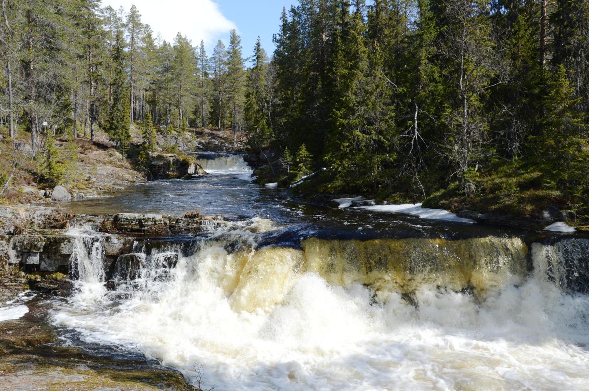 14 - Fulufjellets Nasjonalparker - Natur-, Dyre- Og Fugleopplevelser Trysil Dış mekan fotoğraf