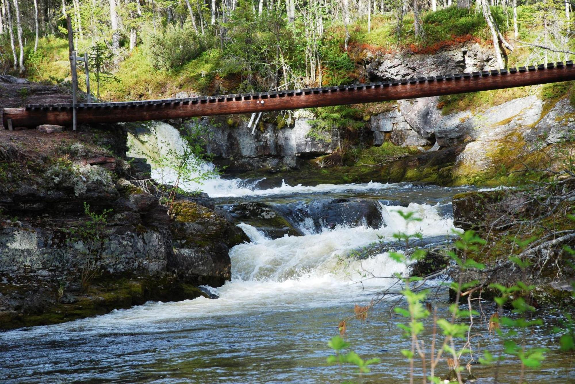 14 - Fulufjellets Nasjonalparker - Natur-, Dyre- Og Fugleopplevelser Trysil Dış mekan fotoğraf