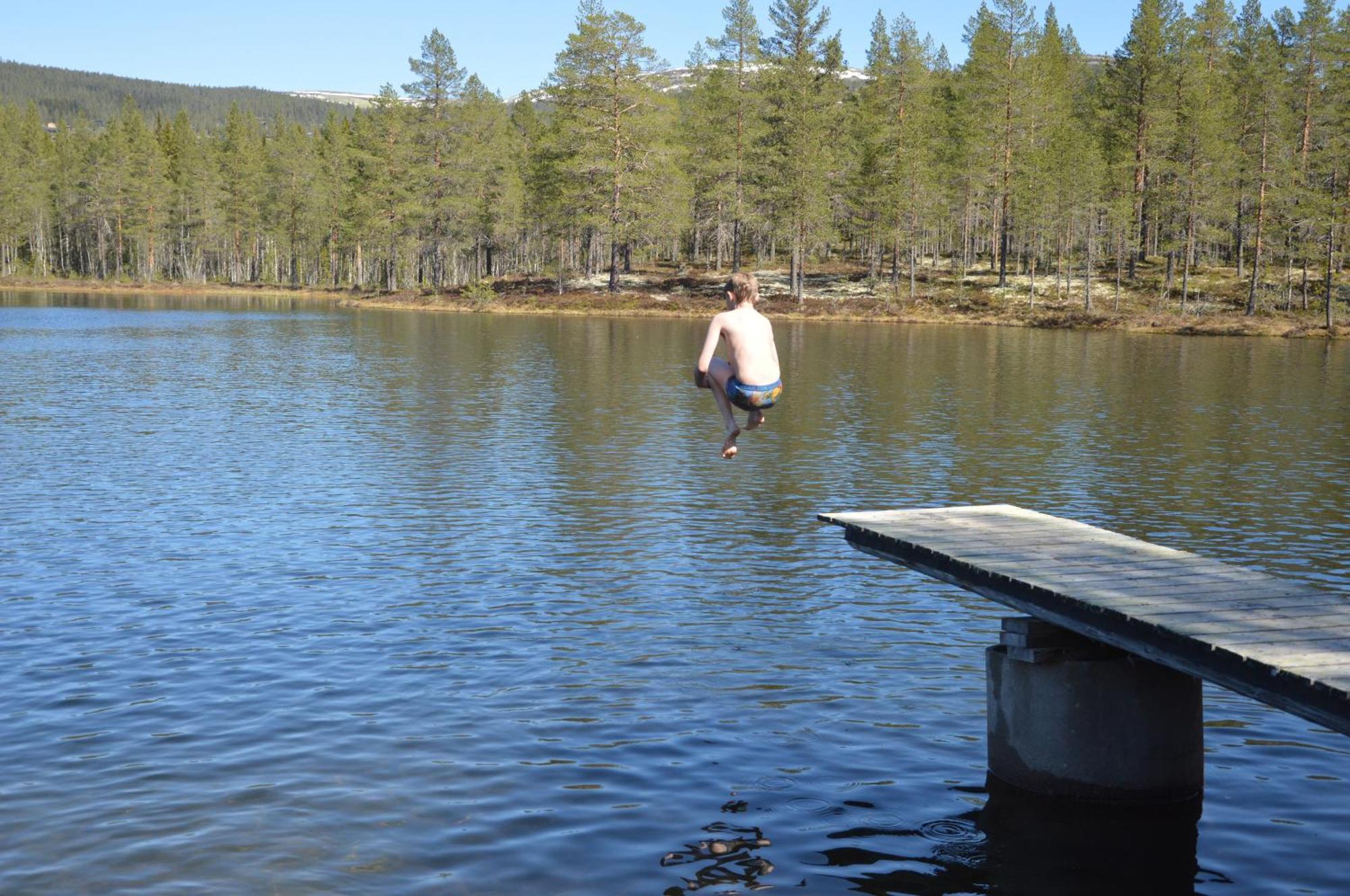 14 - Fulufjellets Nasjonalparker - Natur-, Dyre- Og Fugleopplevelser Trysil Dış mekan fotoğraf