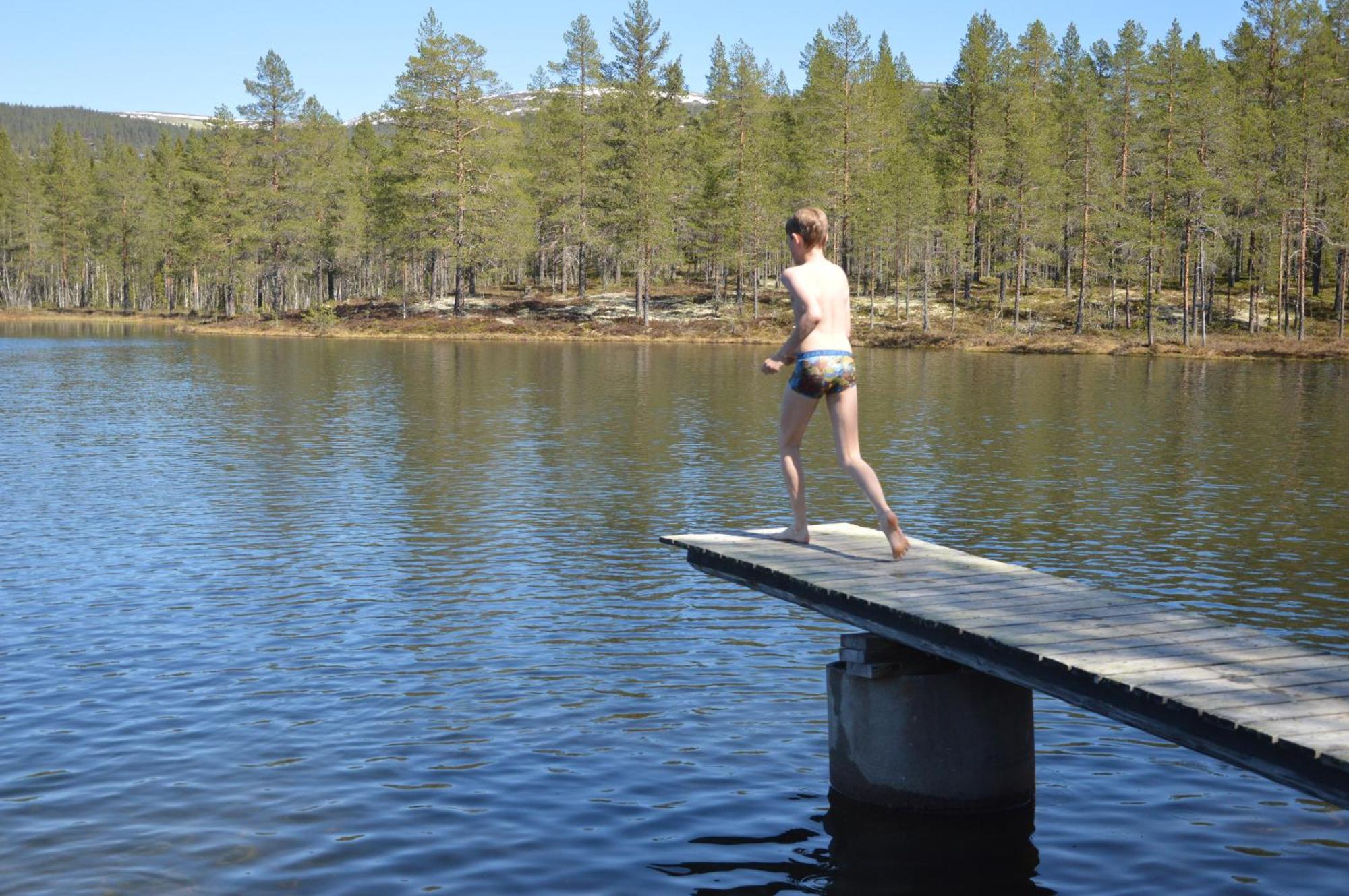 14 - Fulufjellets Nasjonalparker - Natur-, Dyre- Og Fugleopplevelser Trysil Dış mekan fotoğraf