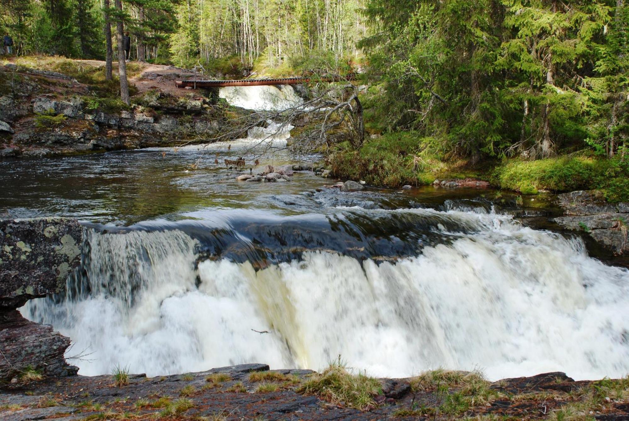14 - Fulufjellets Nasjonalparker - Natur-, Dyre- Og Fugleopplevelser Trysil Dış mekan fotoğraf