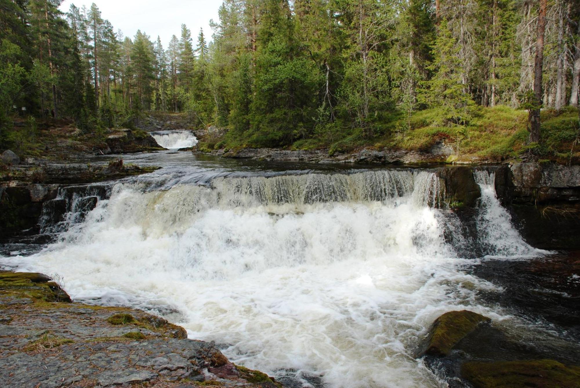 14 - Fulufjellets Nasjonalparker - Natur-, Dyre- Og Fugleopplevelser Trysil Dış mekan fotoğraf