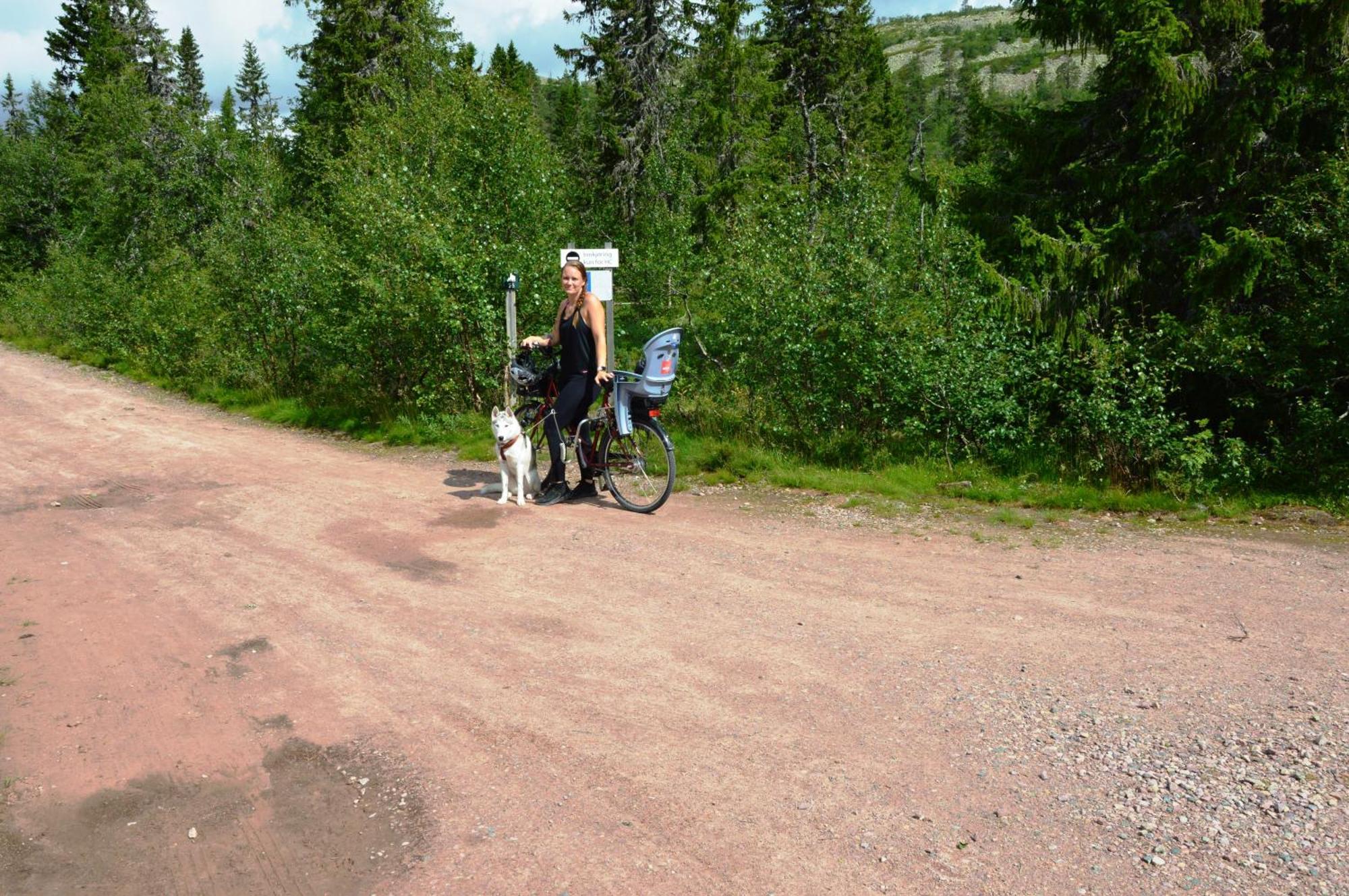 14 - Fulufjellets Nasjonalparker - Natur-, Dyre- Og Fugleopplevelser Trysil Dış mekan fotoğraf